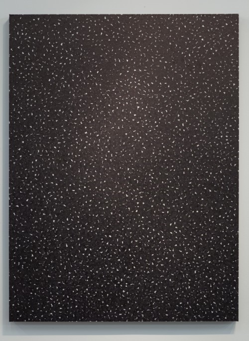 Piotr Uklański. Untitled (Blood and Bone), 2011. Ink and gesso on canvas. Courtesy of Dallas Contemporary.